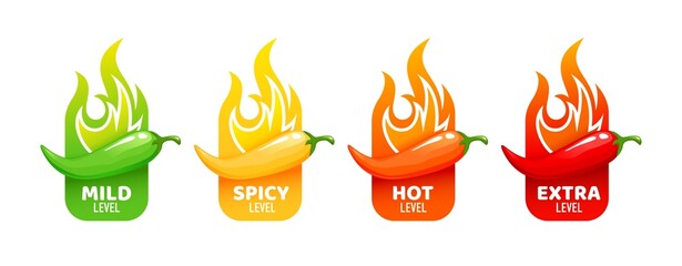 Hot spicy level labels of vector jalapeno, chili, cayenne peppers with fire flames. Spicy food or sauce taste scale indicators, green, red, yellow and orange rating signs for hot, extra and mild taste