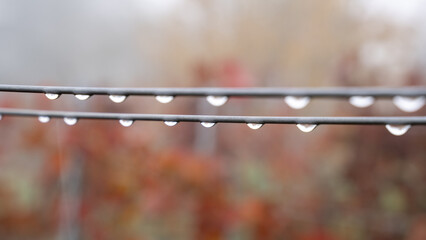 Selective focus shot of raindrops on a laundry rope