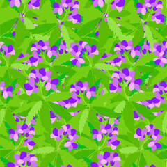 Bittercresses toothworts forest plant violet flowers green leaves seamless pattern stock vector illustration for web, for print
