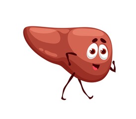 Human funny cartoon liver character, vector healthy happy body organ. Medicine and healthcare or kids personage liver emoji with face expression, human body digestive system organ