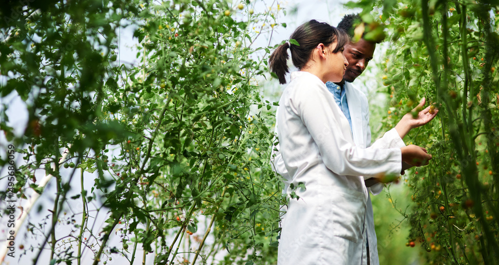 Poster We learn something new from each other everyday. Shot of two young botanists working and studying plants together outdoors in nature.