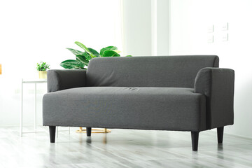 Close up sofa in living room mockup with green tree leaf.