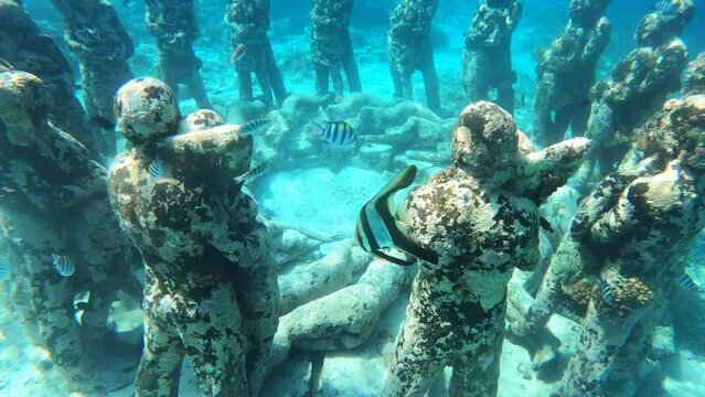 Beautiful underwater park of Gili Meno Indonesia with tropical colorful fish