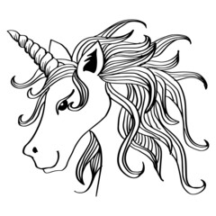 Unicorn horse animal drawing illustration. 