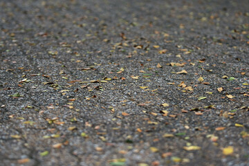 Brick concrete cement texture background on the road