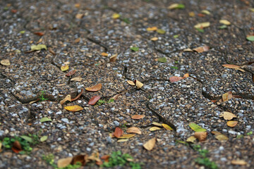 Brick concrete cement texture background on the road