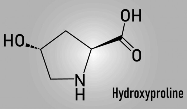 Hydroxyproline (Hyp) amino acid. Essential component of collagen. Skeletal formula.