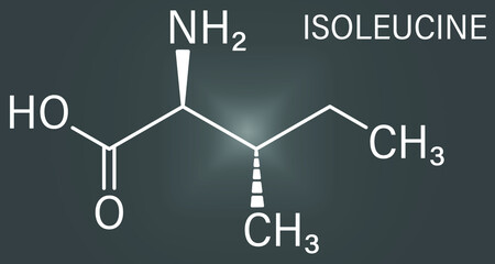 Isoleucine (L-isoleucine, Ile, I) amino acid molecule. Skeletal formula.