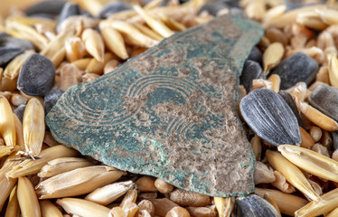 Bronze age tweezers found with metal detector, finder in the background