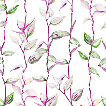 Seamless pattern of colorful tradescantia plant. Branches with leaves on light pink background. Watercolor hand drawn.