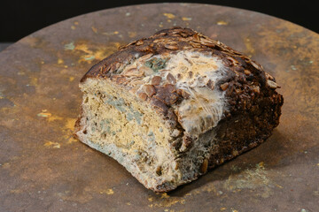 Green and yellow moldy fungus on food. Fluffy spores mold on a bread. Selective focus