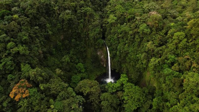 Focused huge incredible waterfall flowing in dense rainforest environment 