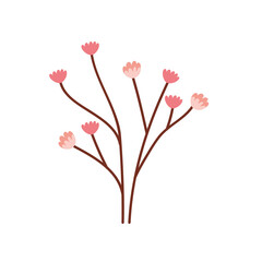 pink roses flowers decoration