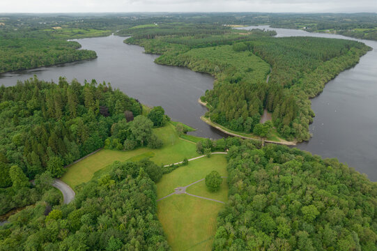 Aerial shot of a forest in Cavan, Ireland
