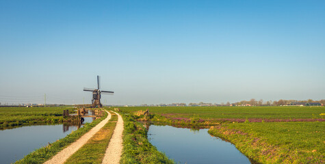 Dutch polder landscape with a wooden hollow post mill. The photo was taken in the province of South Holland on a sunny day in the spring season with a bright blue sky.