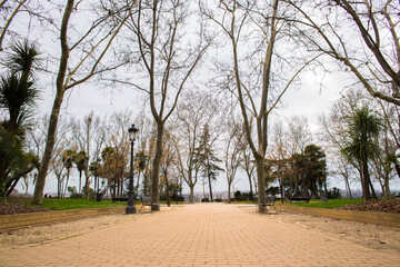 Tree-lined avenue of Parque de la Monta&ntilde;a. The park is located in the center of Madrid, Spain.