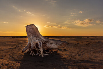 Epecuen at sunset in Buenos Aires, Argentina after the disastrous flood