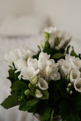 Bouquet of white flowers in a glass vase on a wooden shelf. Spring is in the city and in the soul. A festive bouquet. Morning surprise.