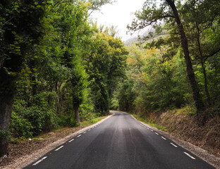 Fototapeta premium Nature Road