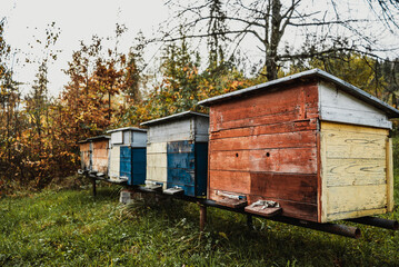 Fototapeta na wymiar wooden colored hives for bees and honey stand in an apiary in the garden 2
