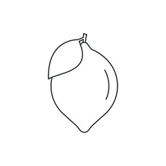 Lemon fruit line icon isolated on white background. Vector illustration
