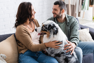 happy young couple cuddling australian shepherd dog and looking at each other at home.