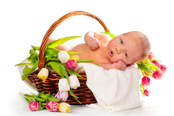 newborn baby sleeping in a basket of tulips - 495710278