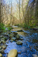 Creek Under Overpass 6