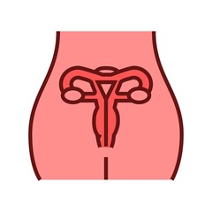 Female reproductive system icon. Gynecology checkup illustration.