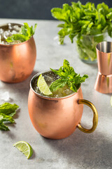 Boozy Refreshing Irish Mule Cocktail