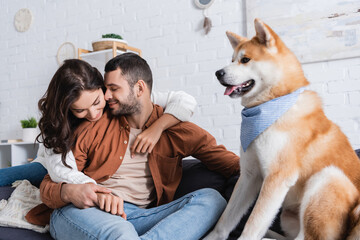 happy young couple hugging and sitting on couch near akita inu dog.