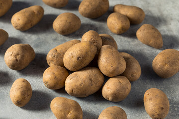 Fototapeta na wymiar Raw Organic Russet Potatoes