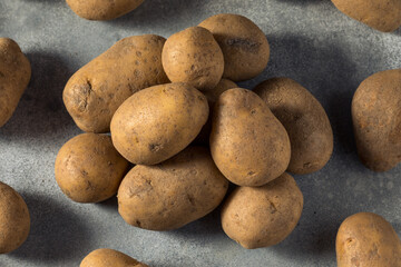 Fototapeta na wymiar Raw Organic Russet Potatoes