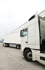 camión frigorífico blanco transporte alimentación pescado marisco 4M0A9861-as22