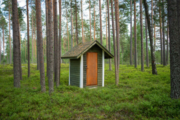 Fototapeta na wymiar Finnish cabin in a forest