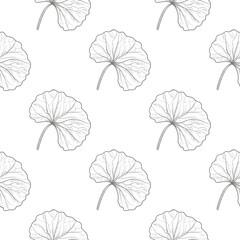 Gotu kola. Centella. Seamless background with leaves.