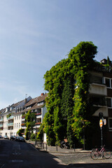 Cologne Streets On A Summer's Day