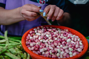 woman shelling beans in Paloquemado market square Bogotá Colombia