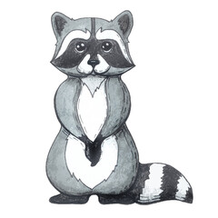 Cute raccoon illustration. Hand drawn forest animal. Isolated on white background. 