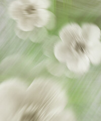 Floral Horizon H