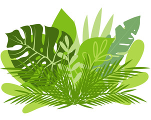 Green tropical leaves in a bouquet.