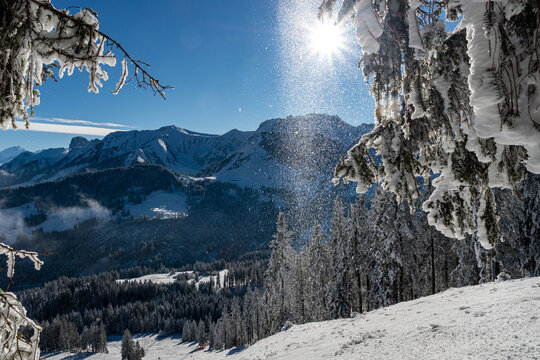sonnenschneestern