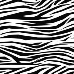 illustration of zebra animal seamless print. A collection of skins for printing on fabrics, textiles, dishes, clothes, household goods, paintings.