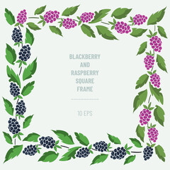 Vector frame with blackberries, raspberries and foliage; square border composition. Perfect for greeting cards, posters, banners, invitations and other design. - 495722248