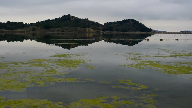 Pond full of algae on a natural reserve on the south of France with mountains on the background