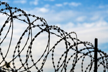 Barbed wire on concrete wall