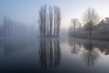 Im Wörlitzer Gartenreich spiegeln sich in der Morgendämmerung mehrere Bäume in einem Teich. Das...
