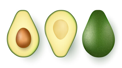 Set of fresh whole and half avocado isolated on white background. Organic eco food realistic Vector illustration