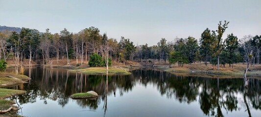 Beautiful lake amidst a dense forest. © Shinjini Dasgupta