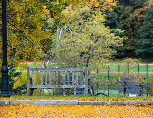 autumn bench in the park